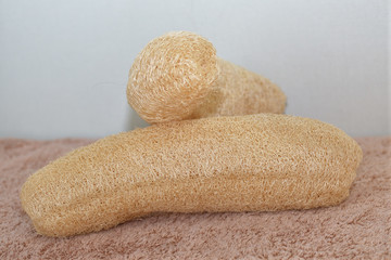 天然ヘチマたわし２個