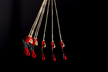 Scissors to cut paper and cardboard