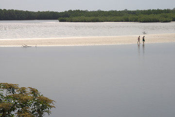 Isla reserva de pájaros de Senegal