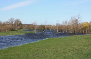 Weiden im Hochwasser mit Bäumen und Himmel