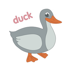 Home duck illustration for children