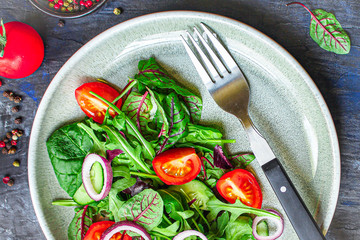 Healthy salad, leaves mix salad (mix micro greens, cucumber, tomato, onion, other ingredients)....