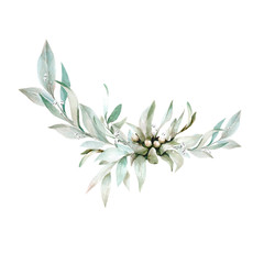 Hand drawing watercolor flower composition of olive branches and leaves. illustration isolated on white