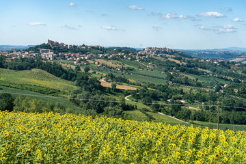 Rural landscape near Montegiorgio, Marches, Italy