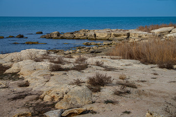 Каспийский берег
