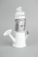 Money in the white watering. Growing, increasing money income, concept of investment, taxes, finance.