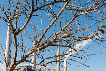 smoke rises from power plant chimneys against the blue sky. Hadera, Israel power plant