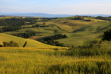 Asciano (SI), Italy - June 01, 2016: Typical scenary of Crete Senesi, Asciano, Siena, Tuscany, Italy