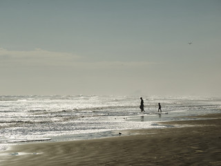 Fototapeta na wymiar Man and child at beach.