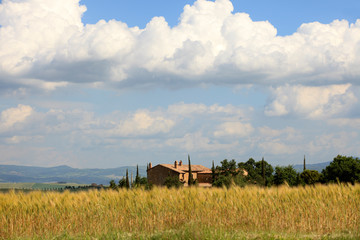 Obraz premium Asciano (SI), Italy - June 01, 2016: Typical scenary of Crete Senesi, Asciano, Siena, Tuscany, Italy