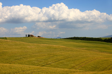 Asciano (SI), Italy - June 01, 2016: Typical scenary of Crete Senesi, Asciano, Siena, Tuscany, Italy