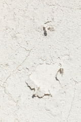 wall background of old peeling color in white