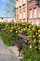 Vintage wooden bench on stone pavement against yellow flowers in Old Town,sunny day. © Irina Papoyan