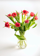 Bouquet of flowers pink peony tulips in a glass vase with water on white backgroundglass vase with water 