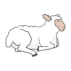 Sheep. One of the symbols of farm, country and village. Template for icon, sticker or part of garland. Vector illustration.
