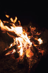 Fototapeta premium Fire wood brighly burning in furnace. Firewood burn in rural oven. Burning firewood in fireplace closeup. Fire and flames. Close up of burning fire wood in fireplace