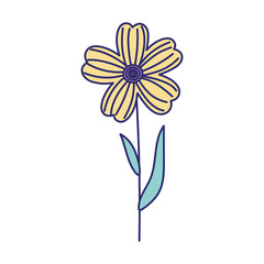 flower decoration spring season floral icon