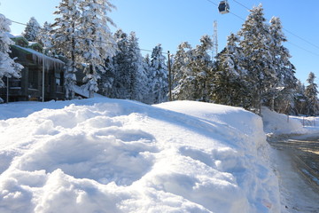 winter landscape with road and trees