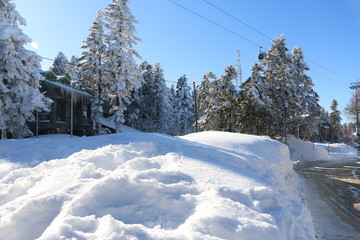 winter landscape with road and trees