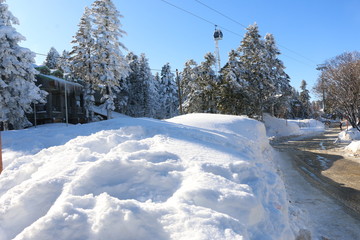 road in winter