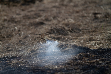 Smoking grass fire in a controlled burn on a farm