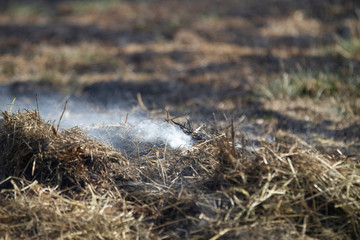 Grass fire