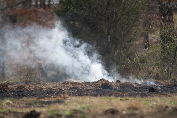 Fototapeta na wymiar Controlled burn on a farm, Agriculture practice