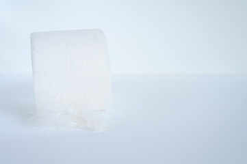 a roll of toilet paper and a white feather on a white background. space for text
