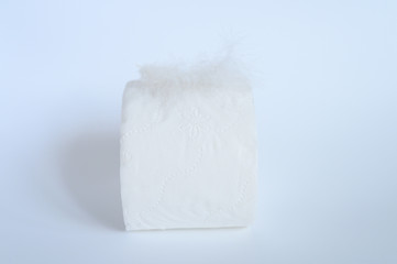 a roll of toilet paper and a white feather on a white background