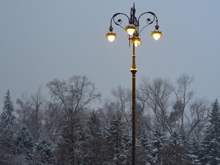 Street lamps winter show view 
