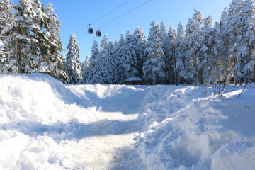 winter in the mountains