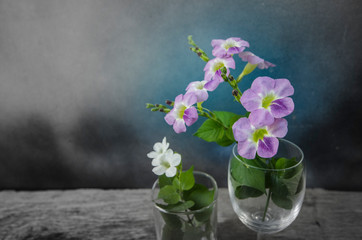 Beautiful flower glass vase of brazilian snapdragon