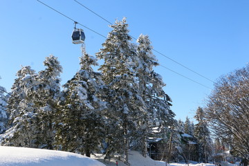 chairlift in winter forest