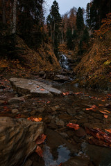 River deep in mountain forest. Nature composition.