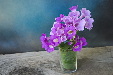 Beautiful garlic vine vase on blue background