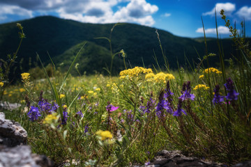 Obraz premium The beautiful green mountain on summer time