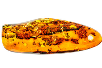Amber in sun cut out on white background