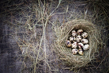 A dozen quail eggs in a straw nest for Easter, rustic style, wooden table, top view, copy space