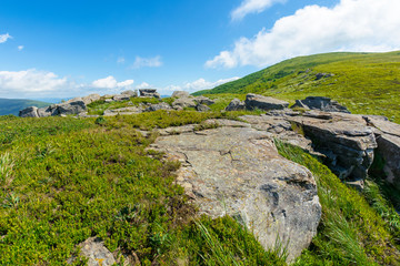 rocks on the alpine hillside meadow. great summer nature scenery. green grass on the hills and...