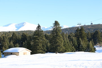 winter in the mountains