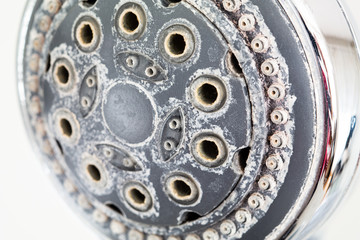 Silver round shower head with hard water deposits all around the sprinklers close up macro side...