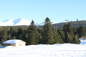 winter in the mountains