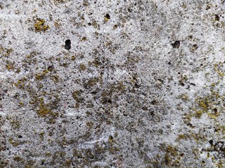Background concrete, concrete texture with holes and moss. Mobile photo