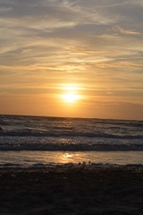 Fototapeta na wymiar beach . sunset. wave in love
