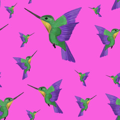 Watercolor colibri on pink background. Seamless pattern. Green and violet hummingbird. Exotic summer pattern. Tropical design. 