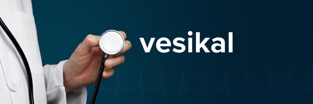 vesikal. Arzt im Kittel h&auml;lt Stethoskop. Das Wort vesikal steht daneben. Symbol f&uuml;r Medizin, Krankheit, Gesundheit