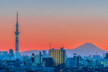 東京の町並みと富士山