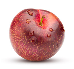 Red plum with water drop isolated on white background. Fresh plum clipping path.