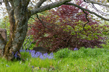 Graves on Old Cemetery of Torshavn on the Faroe Islands in the North Atlantic.