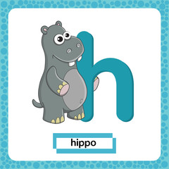 Letter H lowercase with cute cartoon character Hippo isolated on white background. Funny colorful flashcard Zoo and animals ABC alphabet. Education card for kids learning English vocabulary, alphabet.